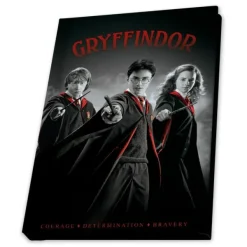 Abysse Coffret Cadeau Harry Potter- Porte-clés