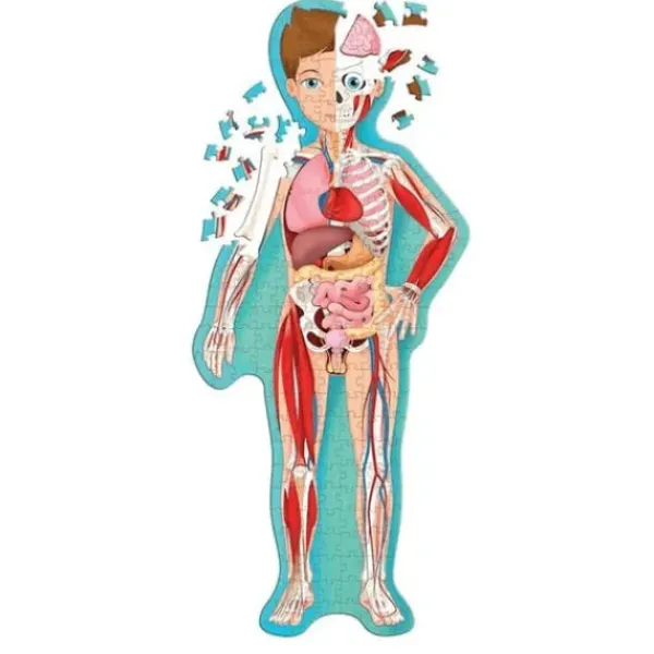 Sassi Junior Découvrir Le Monde|Livre Le Corps Humain En 2D - Voyage, Découvre, Explore