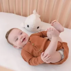 Pabobo Peluche Veilleuse Musicale Beluga- Veilleuses