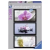 Ravensburger Puzzles Adultes|Puzzle 3X500 Triptyque Ambiance Zen